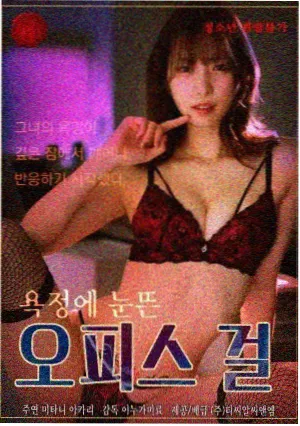 骚虎影视古装剧集《旧墨新痕》标本封面